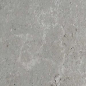 Meet your Posher, Laney